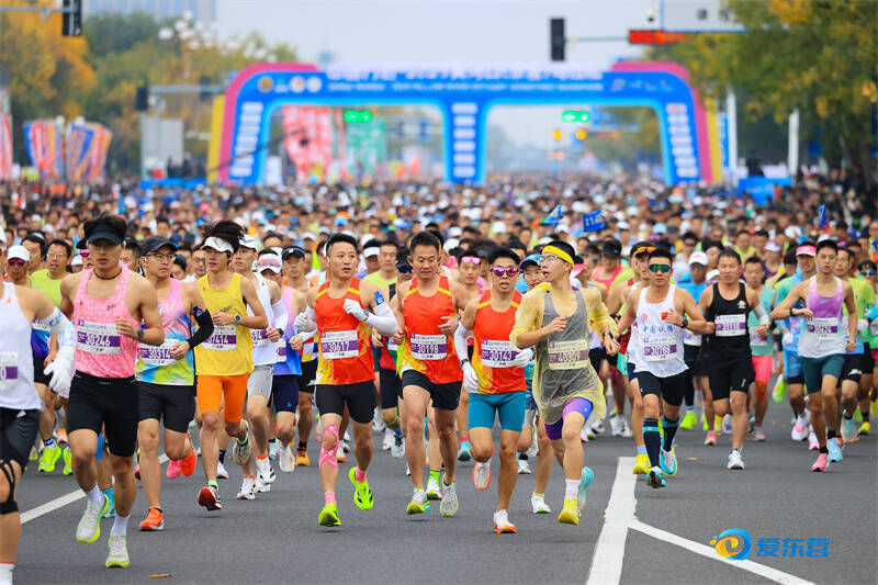 欢呼声与加 欢呼声与加