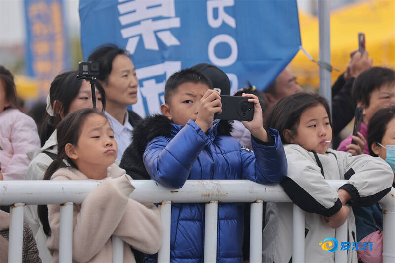 志愿者服务, 城市湿地, DHmI 志愿者服务, 城市湿地, DHmI